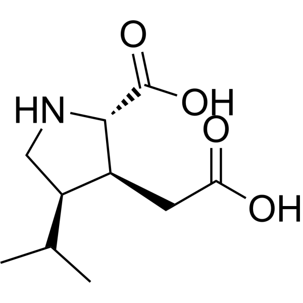 Dihydrokainic acid (Standard)