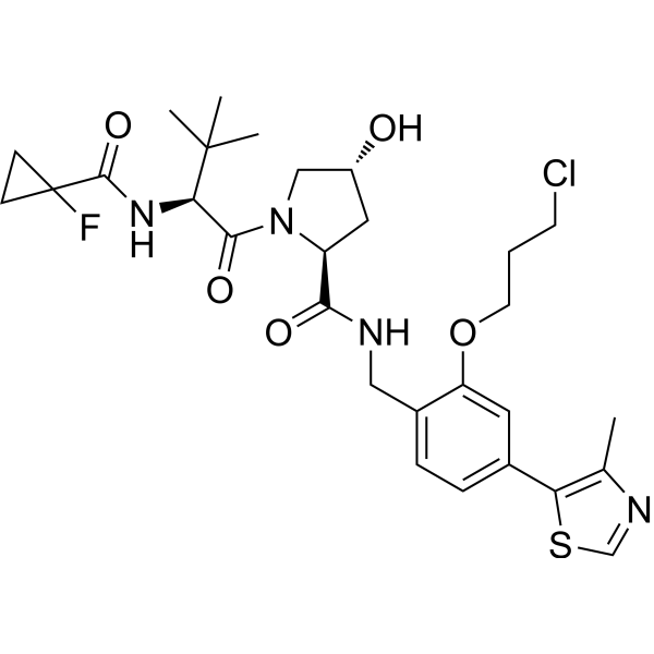 E3 Ligase Ligand-linker Conjugate 173