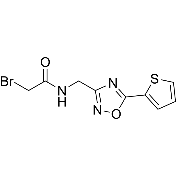 SDH-IN-24