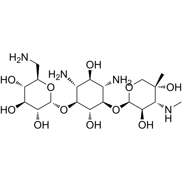 2-Hydroxygentamicin B